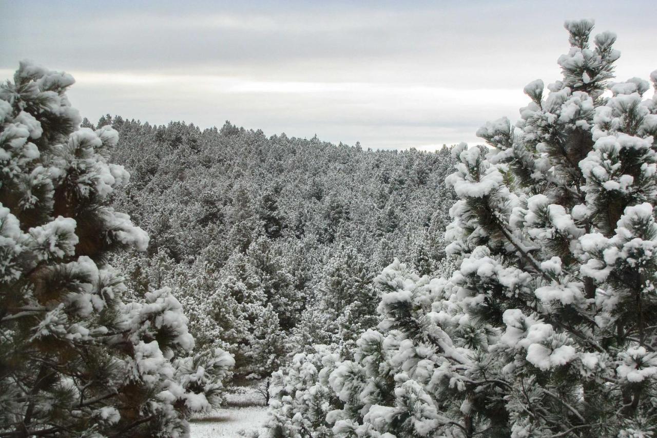 The Apartment Retreat Near Mount Rushmore Hermosa ภายนอก รูปภาพ